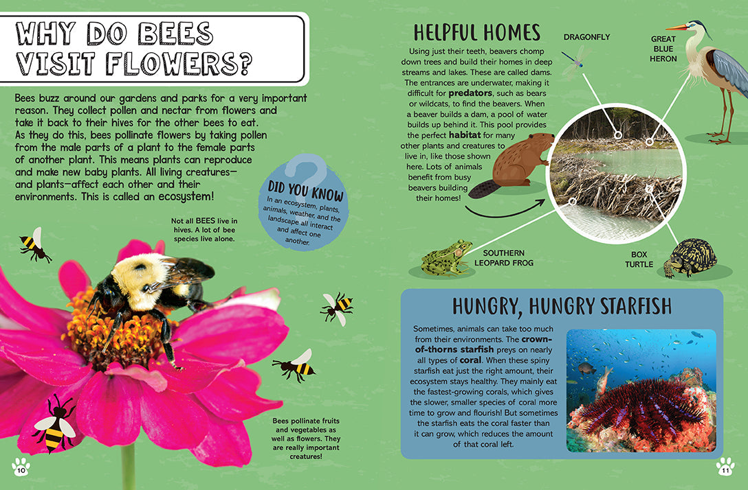 Big Questions for Little People: Animals Hardcover Book