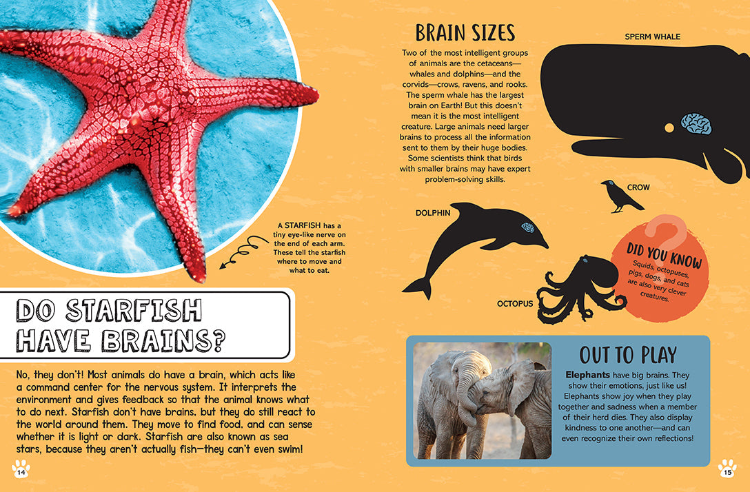 Big Questions for Little People: Animals Hardcover Book