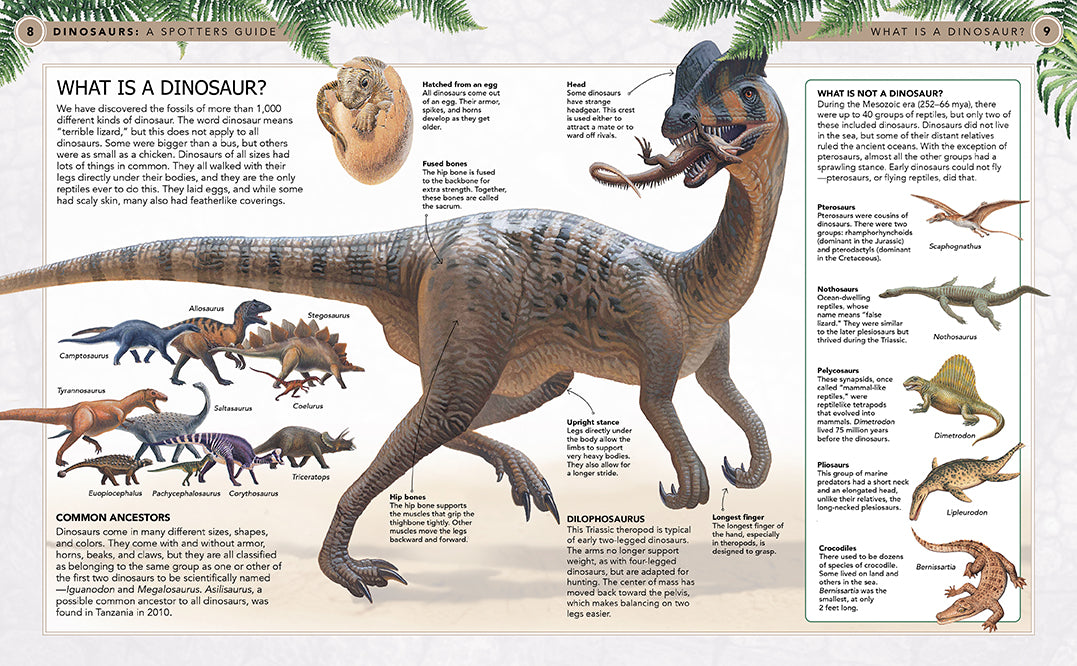 Dinosaurs Hardcover Book