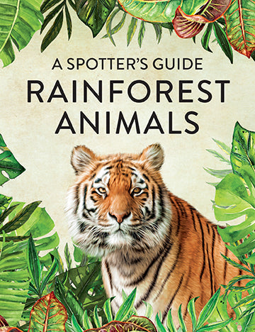 Rainforest Animals