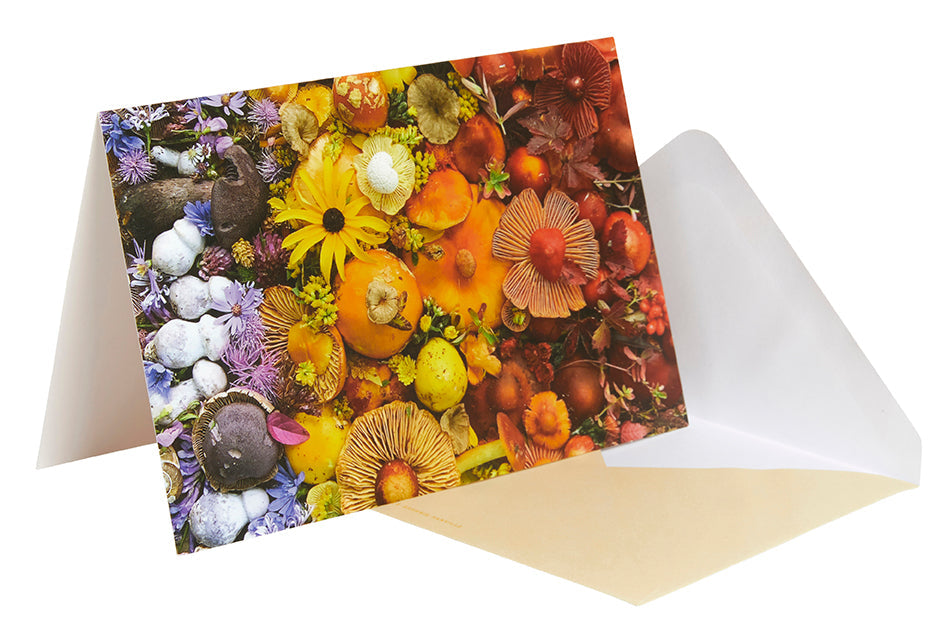Flowers and Fungi Boxed Note Cards