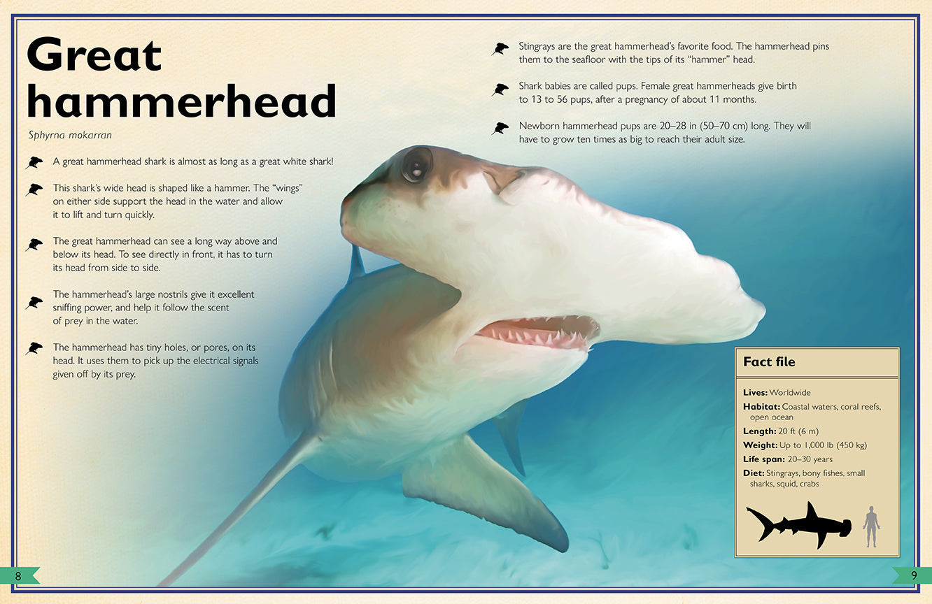 The Magnificent Book of Sharks Hardcover Book
