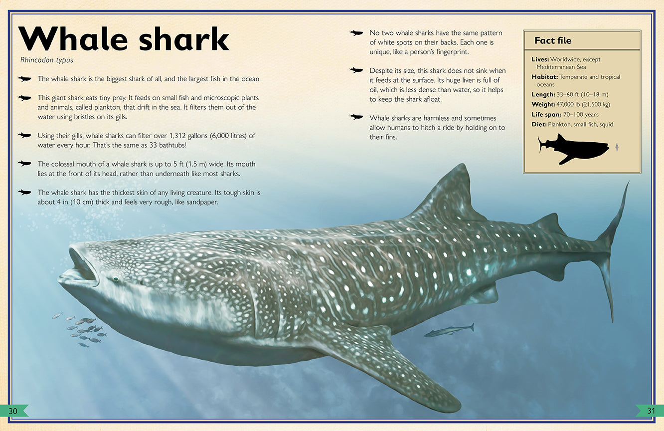 The Magnificent Book of Sharks Hardcover Book
