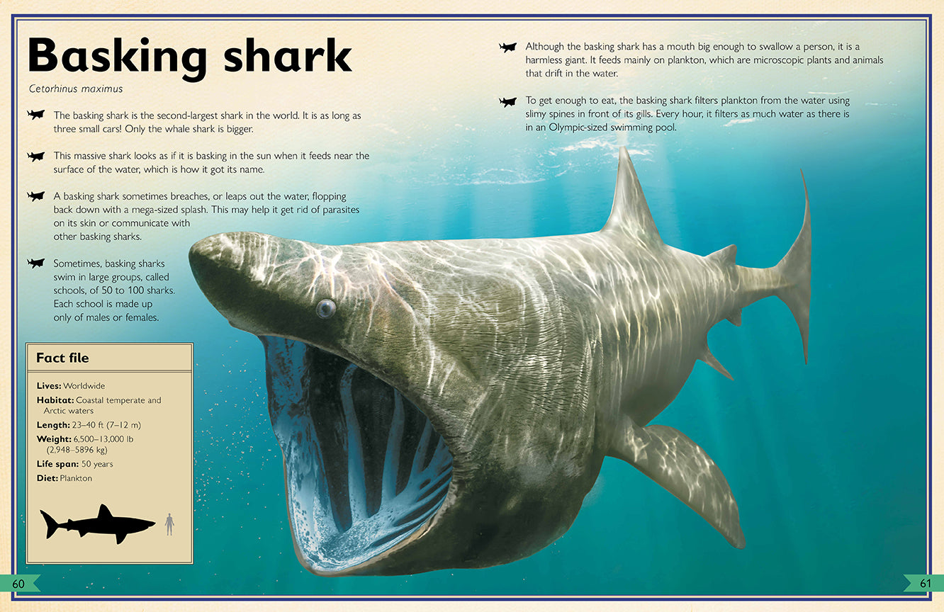 The Magnificent Book of Sharks Hardcover Book