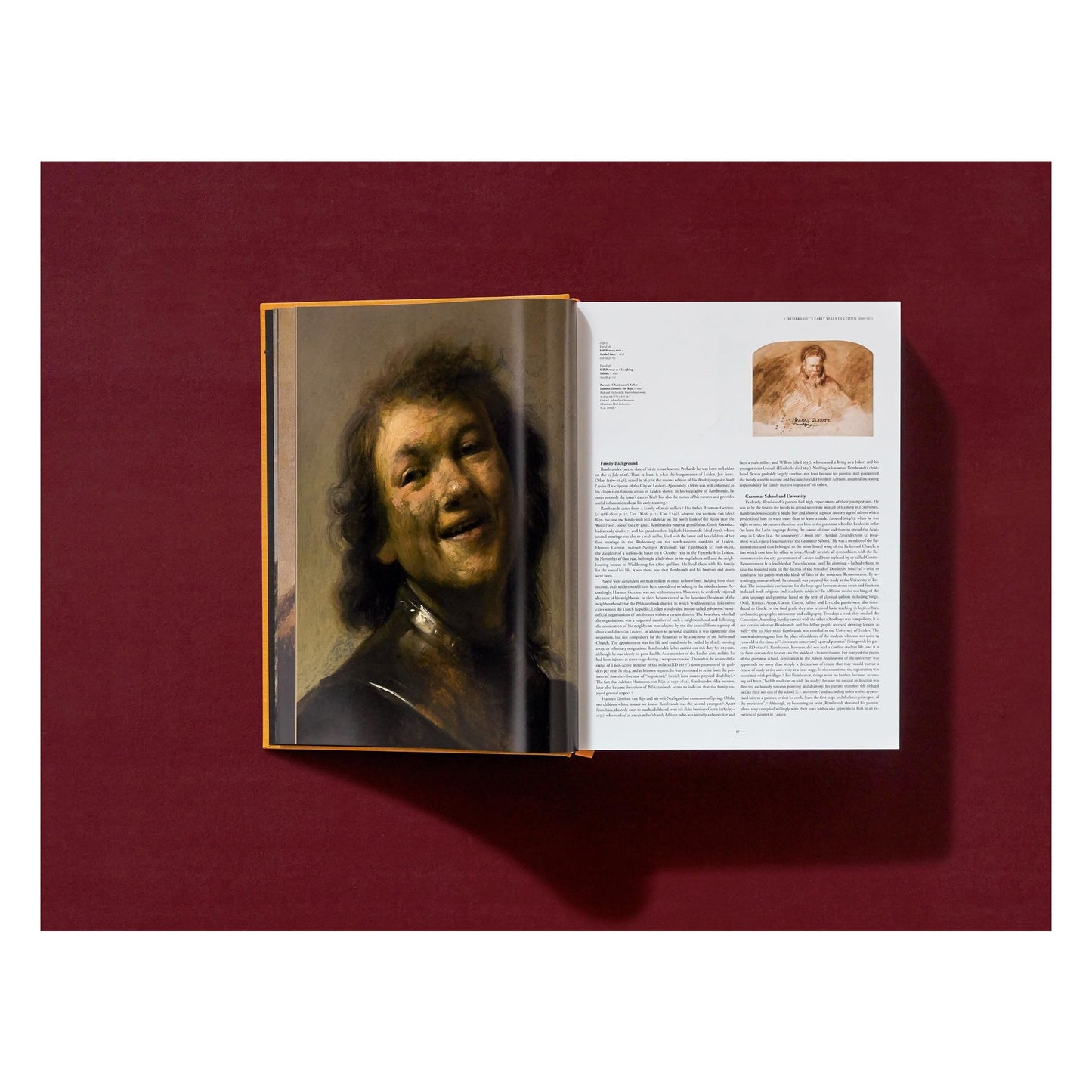 Rembrandt. The Complete Paintings (English) Book
