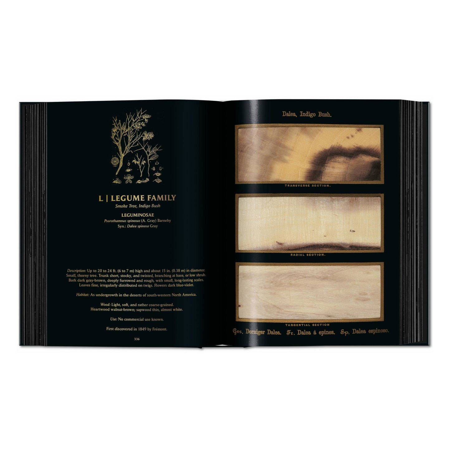 Romeyn B. Hough. The Woodbook. The Complete Plates (English) Book