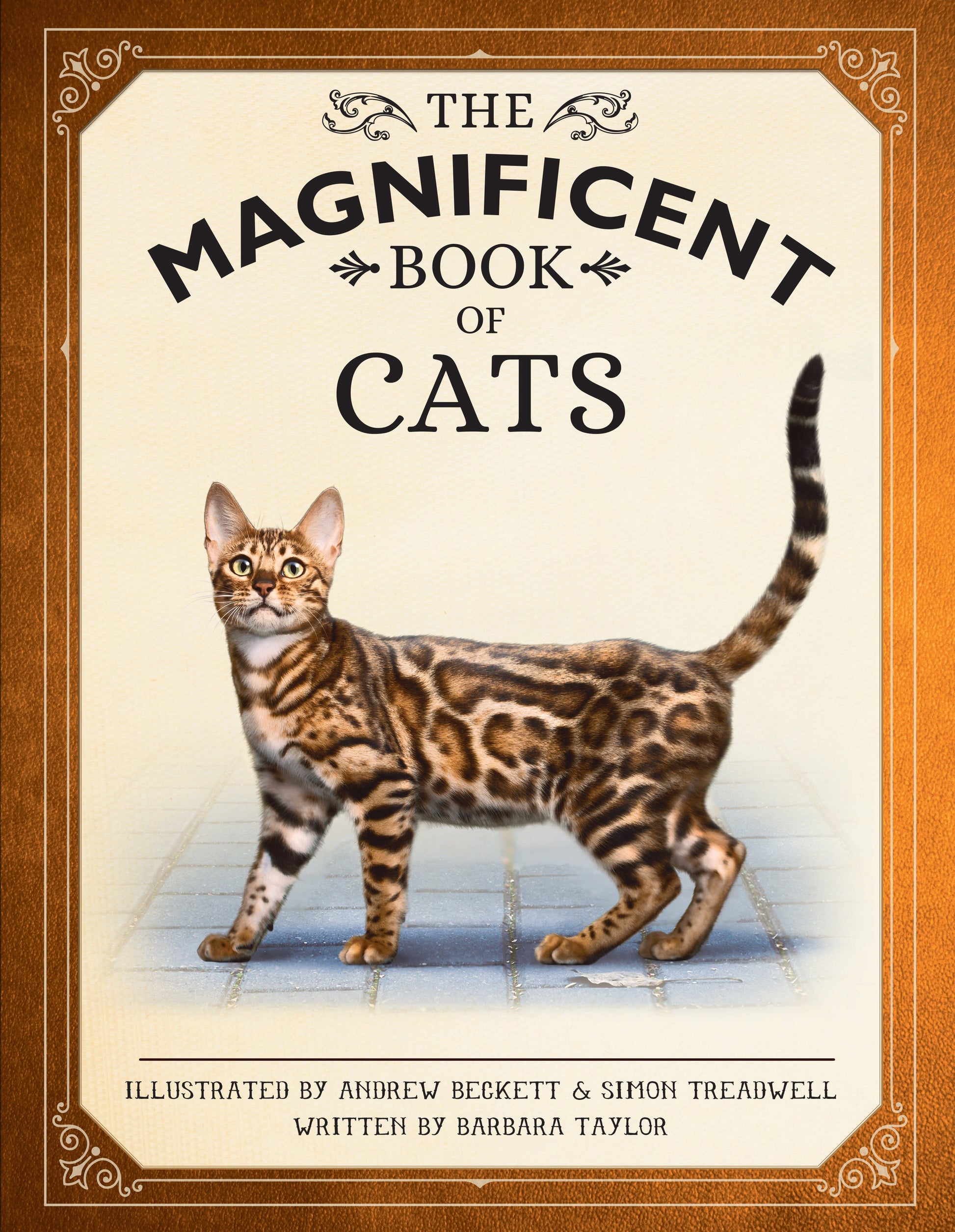 The Magnificent Book of Cats Hardcover Book