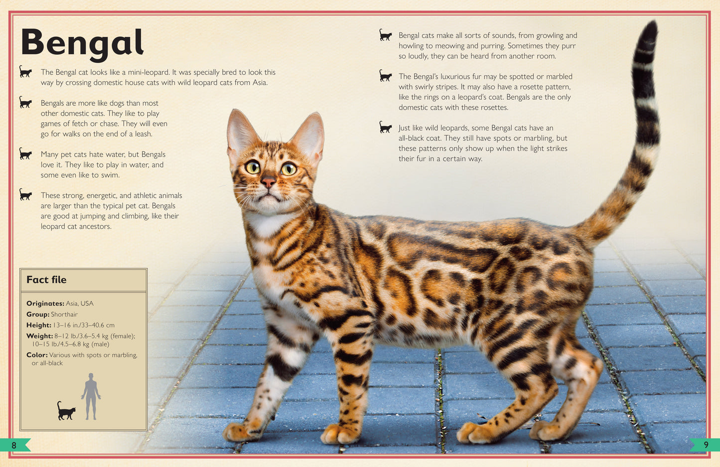 The Magnificent Book of Cats Hardcover Book