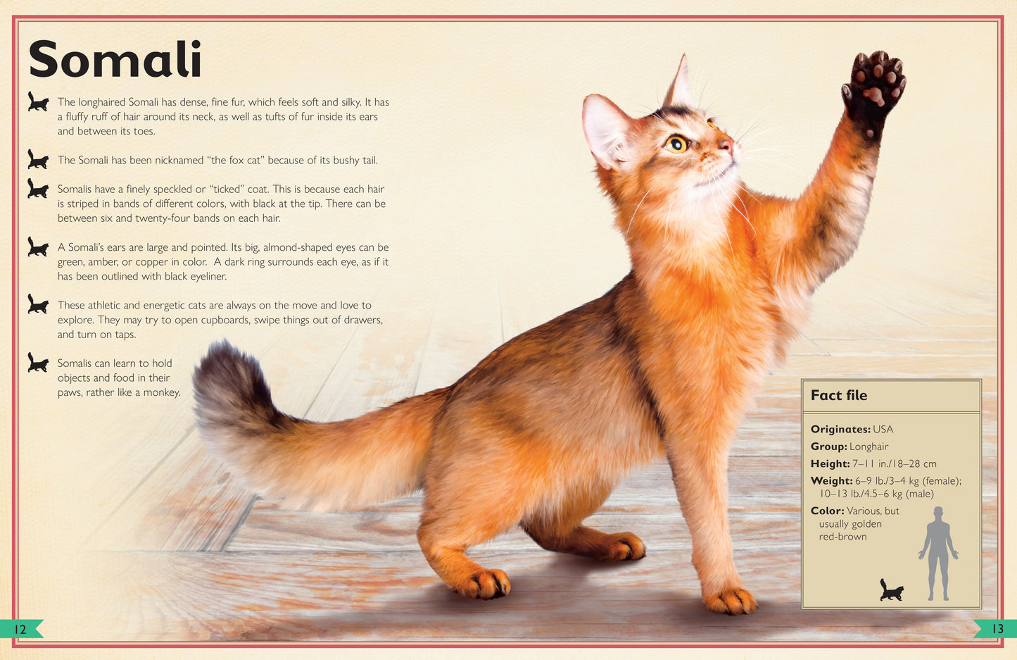 The Magnificent Book of Cats Hardcover Book