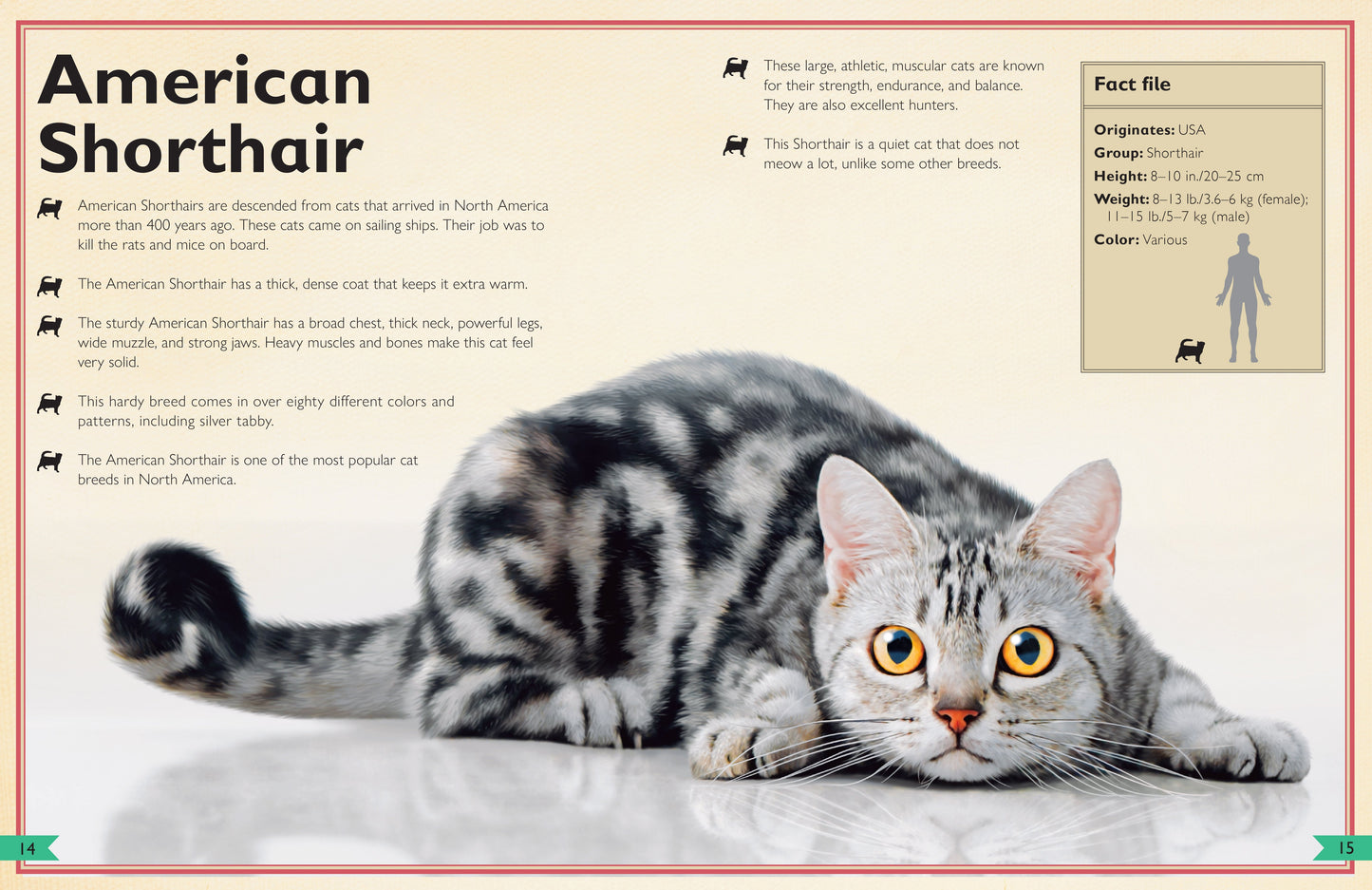 The Magnificent Book of Cats Hardcover Book