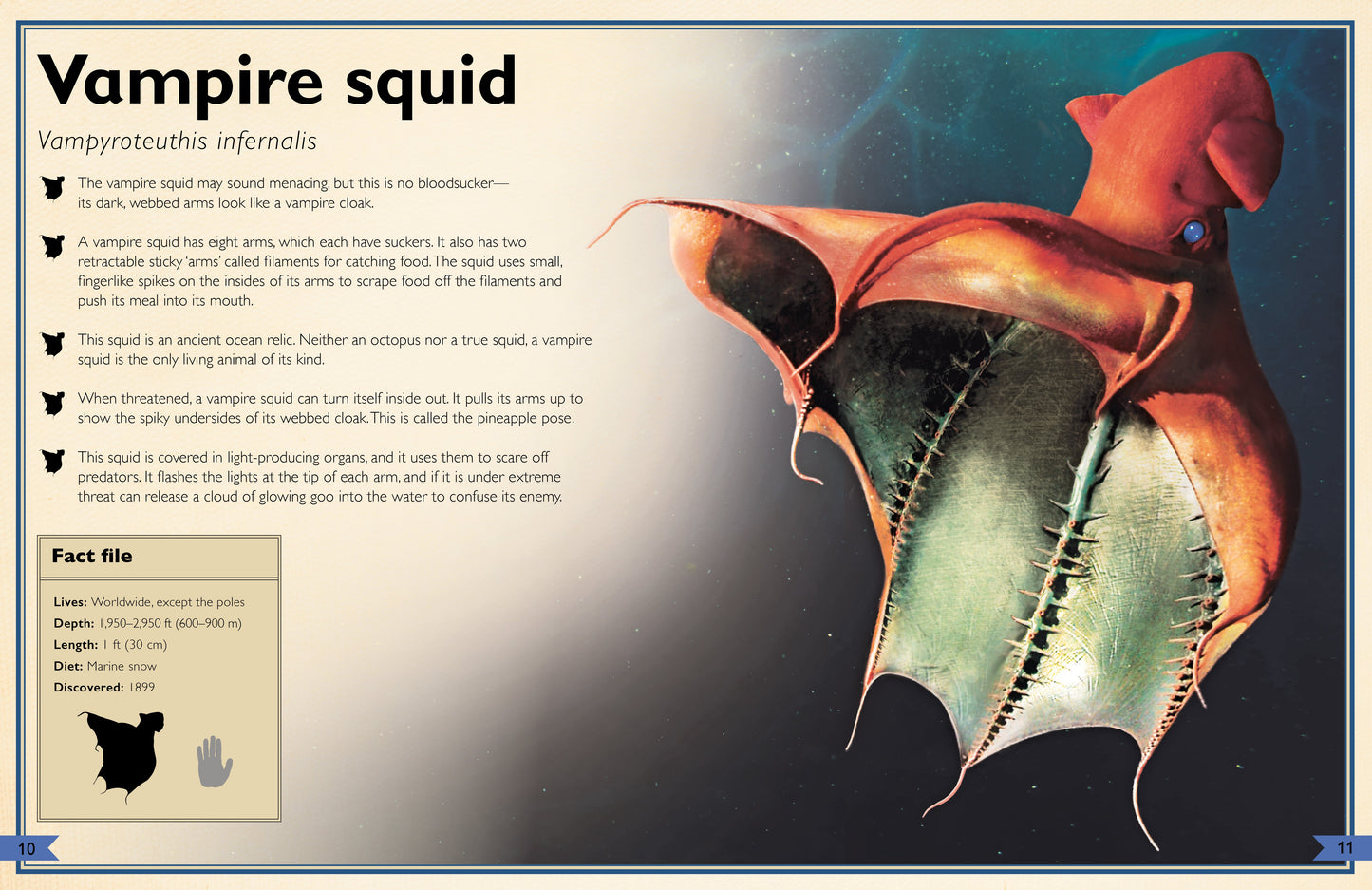 The Magnificent Book of Creatures of the Abyss Hardcover Book