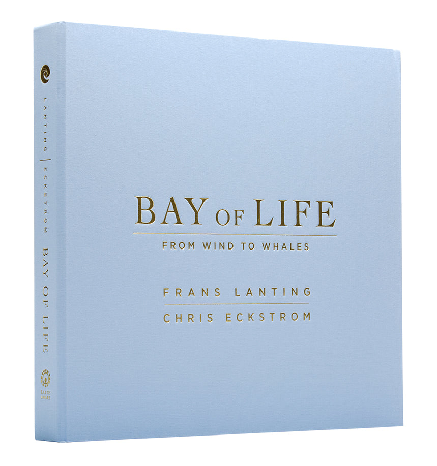 Bay of Life Collector's Edition Book