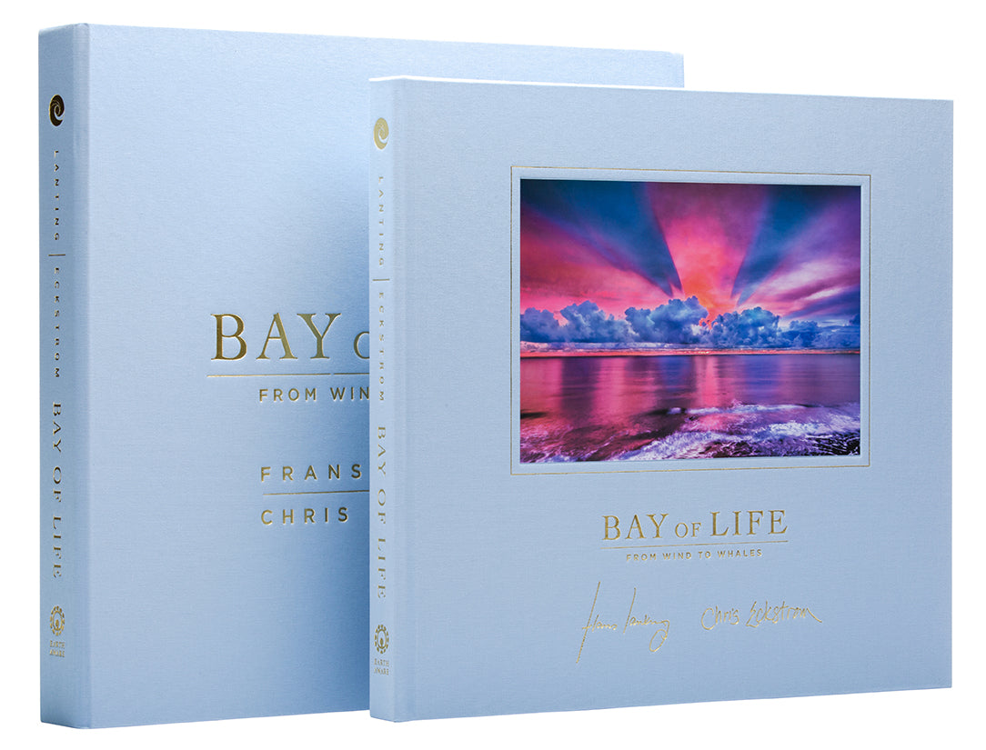 Bay of Life Collector's Edition Book