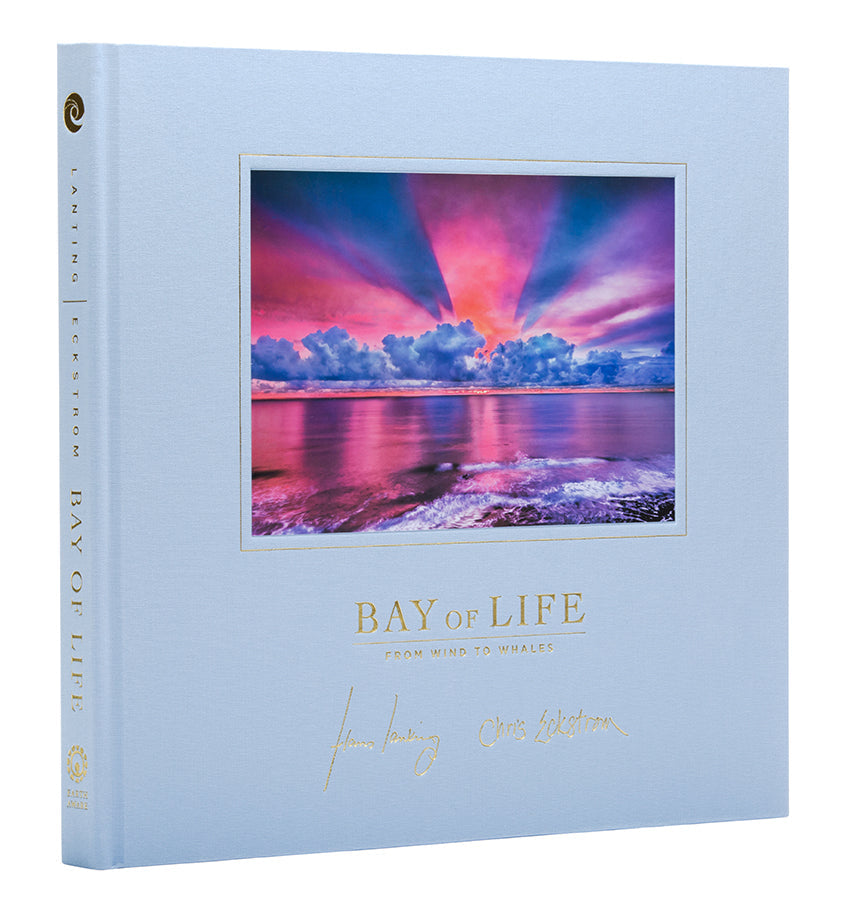 Bay of Life Collector's Edition Book