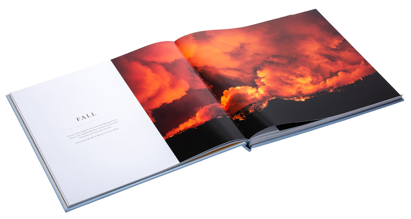 Bay of Life Collector's Edition Book