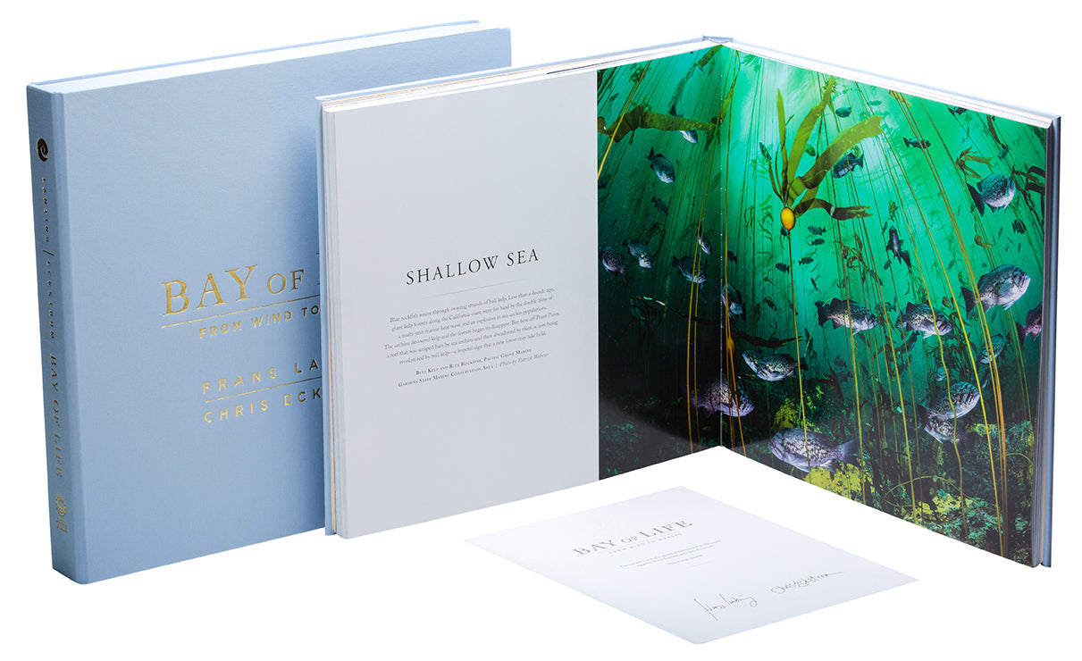 Bay of Life Collector's Edition Book
