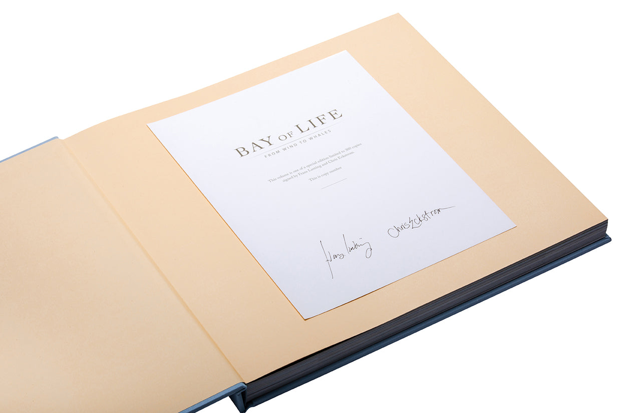Bay of Life Collector's Edition Book