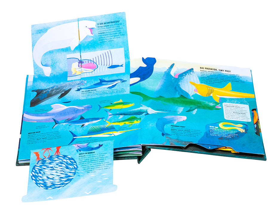 Teeth, Tentacles, and Tail Fins Hardcover Book