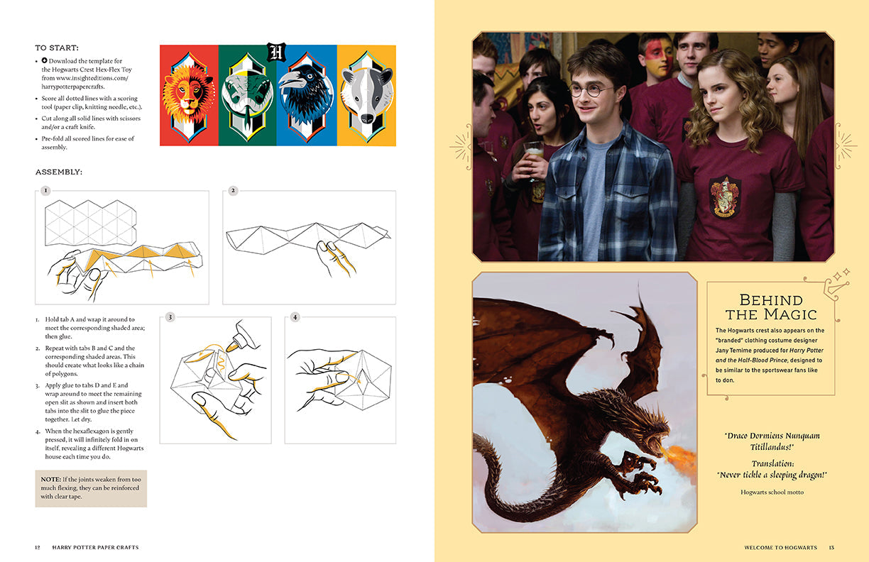 Harry Potter: Magical Paper Crafts Softcover Book
