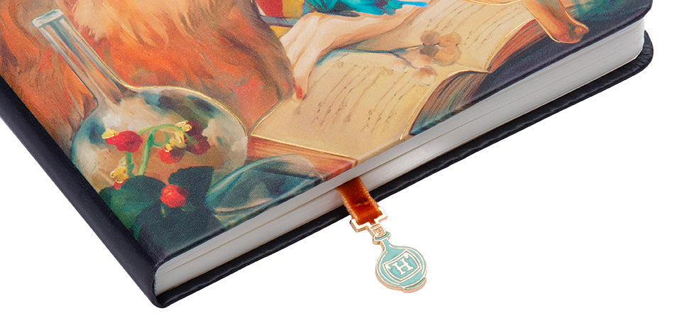 Harry Potter: Hermione Granger Journal with Ribbon Charm Hardcover Book