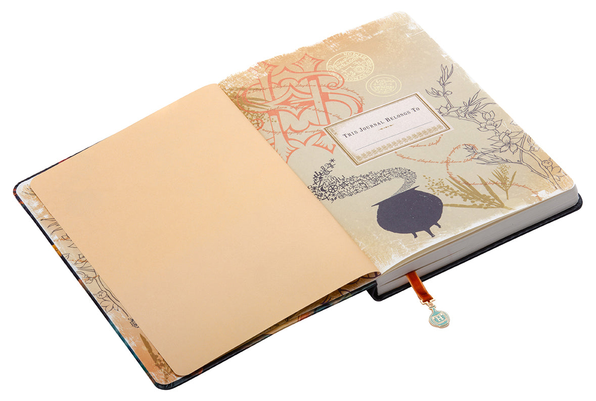 Harry Potter: Hermione Granger Journal with Ribbon Charm Hardcover Book