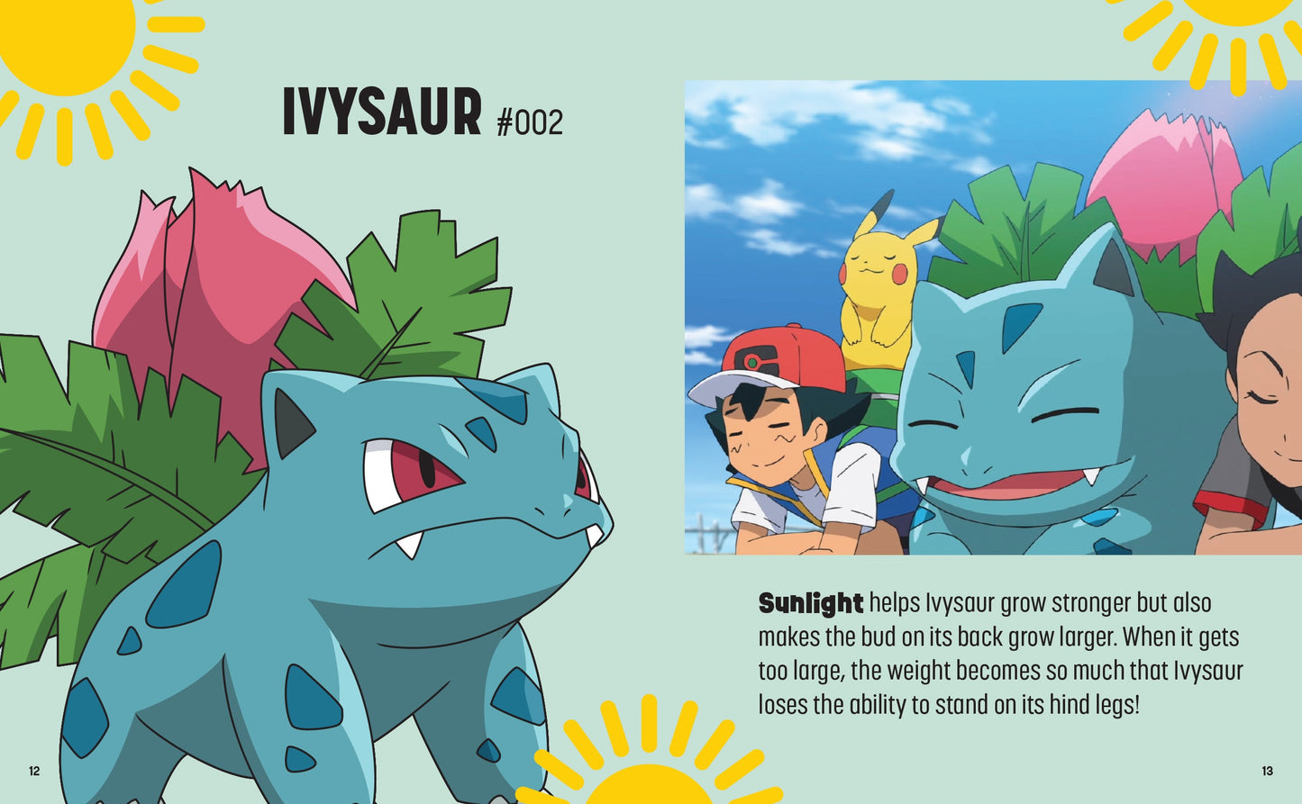 Pokemon: Trainer's Mini Exploration Guide to Kanto Hardcover Book