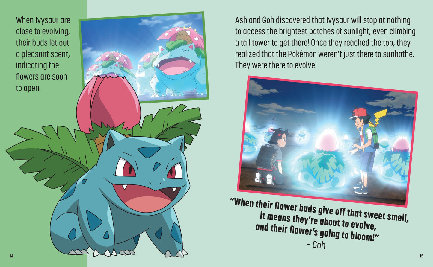 Pokemon: Trainer's Mini Exploration Guide to Kanto Hardcover Book