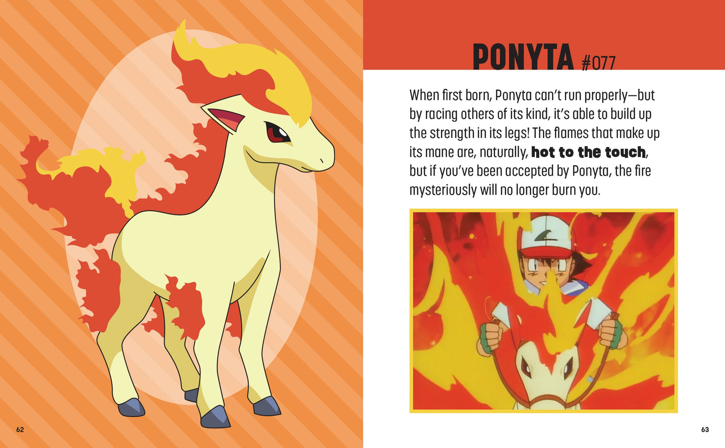 Pokemon: Trainer's Mini Exploration Guide to Kanto Hardcover Book