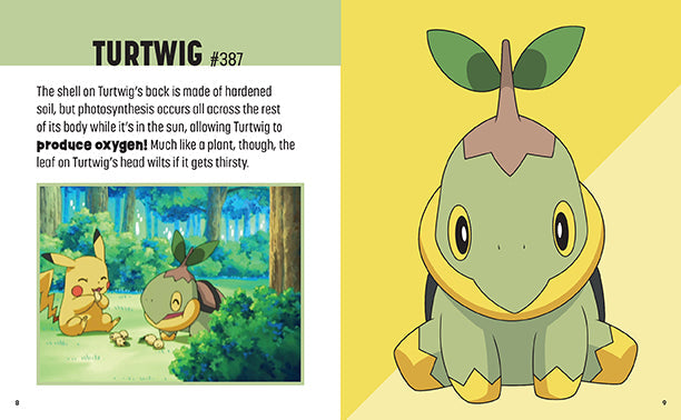 Pokemon: Trainer's Mini Exploration Guide to Sinnoh Hardcover Book