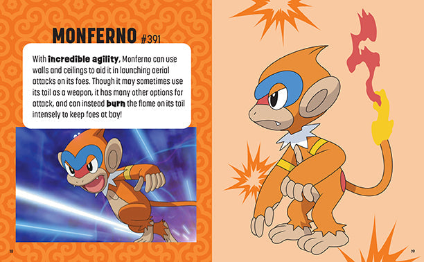 Pokemon: Trainer's Mini Exploration Guide to Sinnoh Hardcover Book