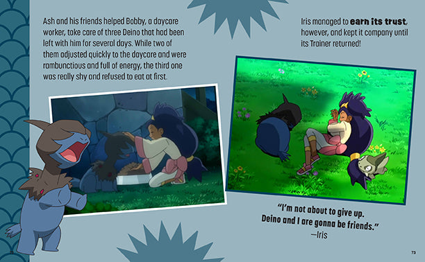 Pokemon: Trainer's Mini Exploration Guide to Unova Hardcover Book