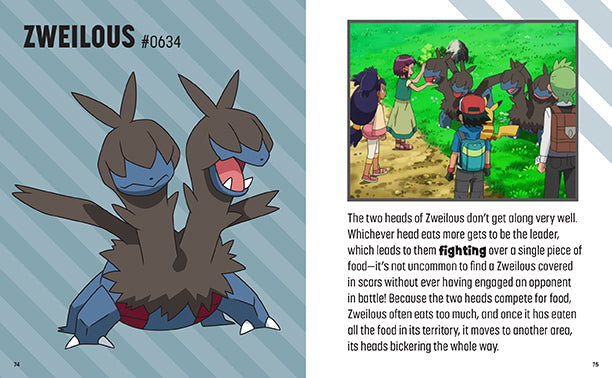 Pokemon: Trainer's Mini Exploration Guide to Unova Hardcover Book