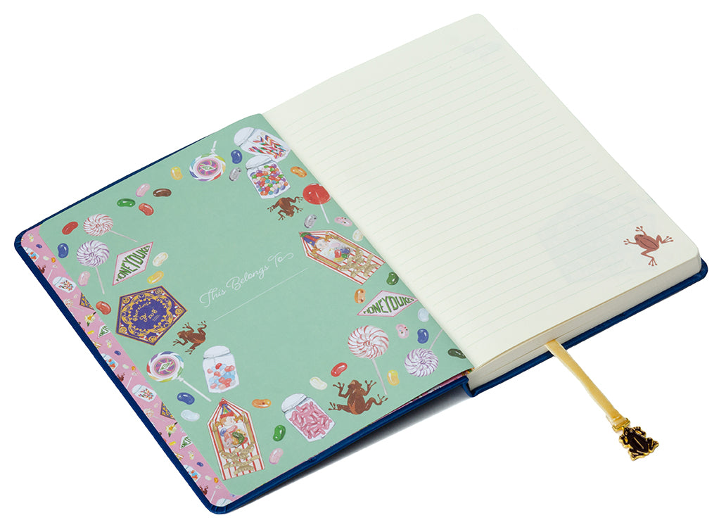 Harry Potter: Chocolate Frog Journal with Ribbon Charm Hardcover Book