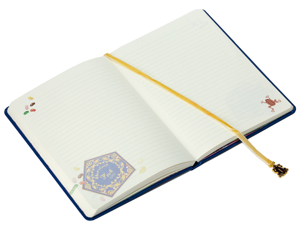 Harry Potter: Chocolate Frog Journal with Ribbon Charm Hardcover Book