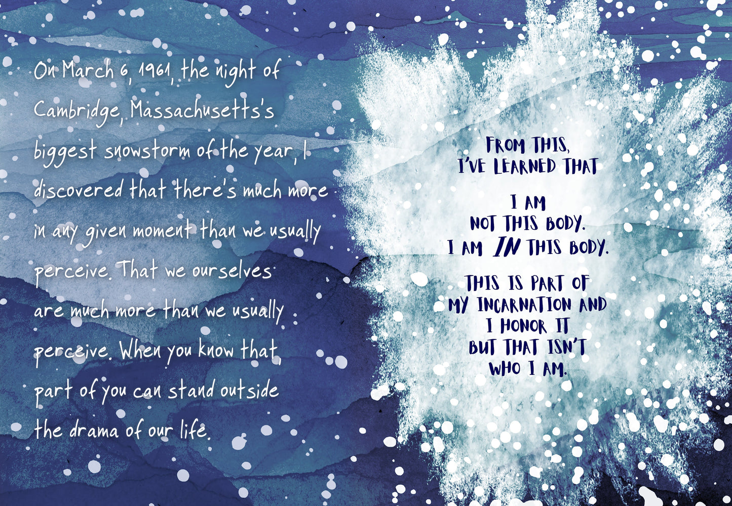 You Are the Universe Softcover Book