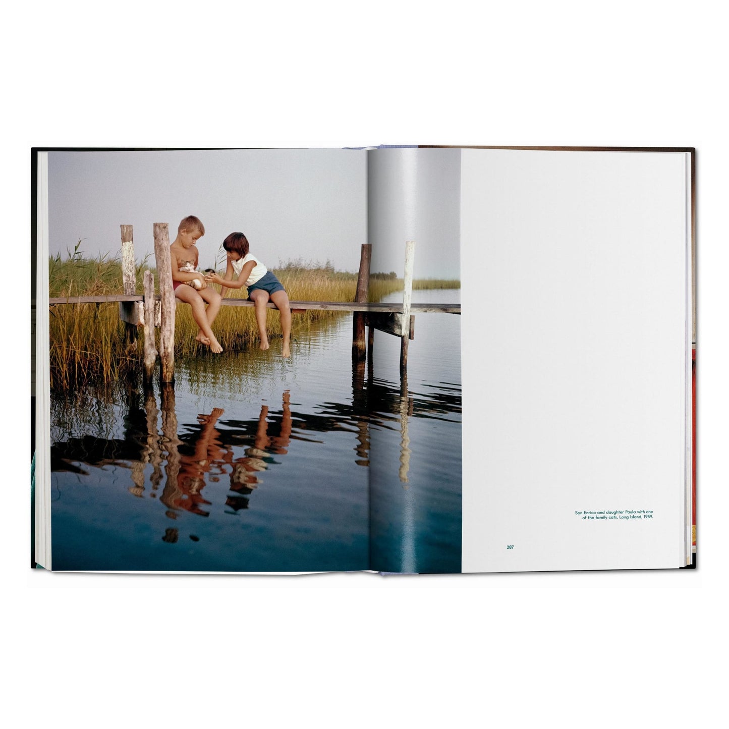 Walter Chandoha. Cats. Photographs 1942–2018 (German, French, English) Book