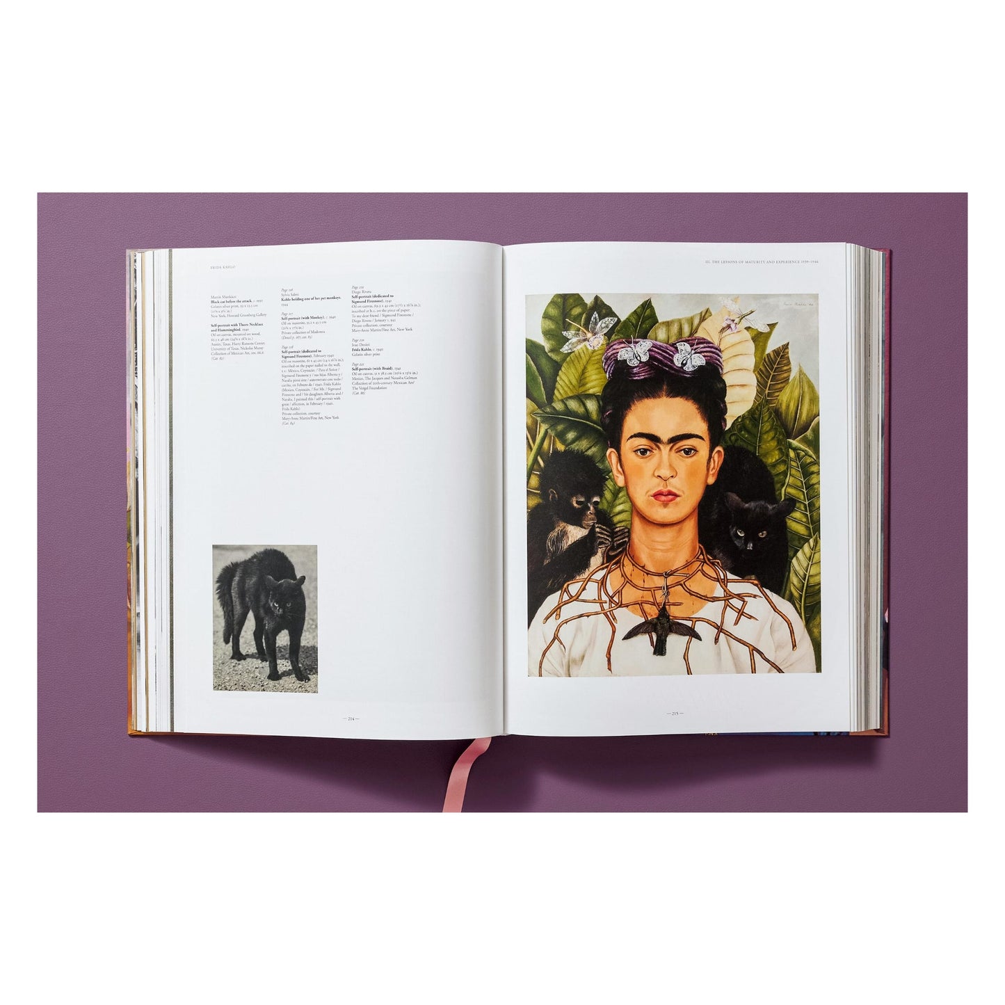 Frida Kahlo. The Complete Paintings (English) Book
