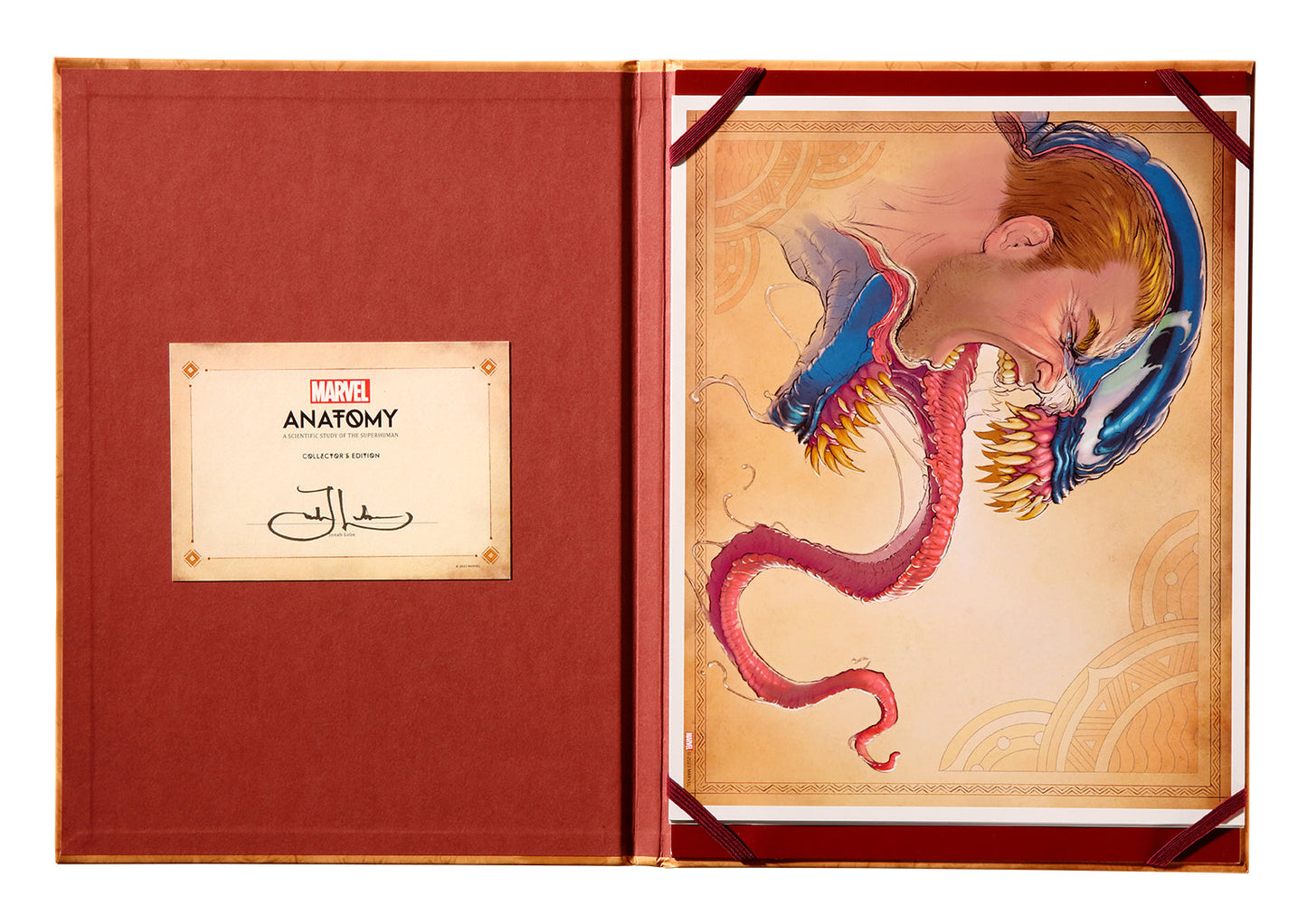 Marvel Anatomy A Scientific Study of the Superhuman Collector's Edition Book
