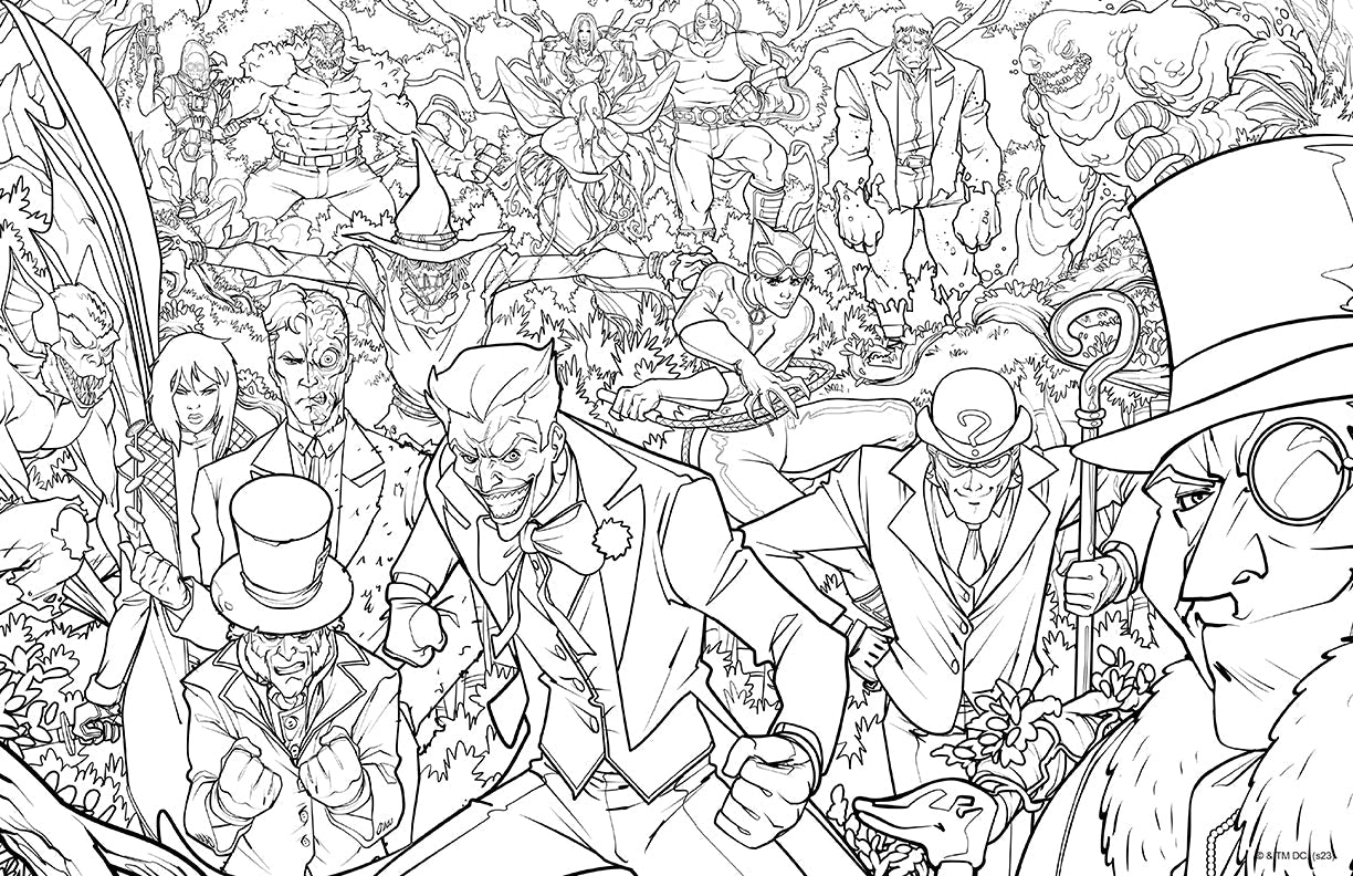 DC Super-Villains: The Official Coloring Book Softcover Book