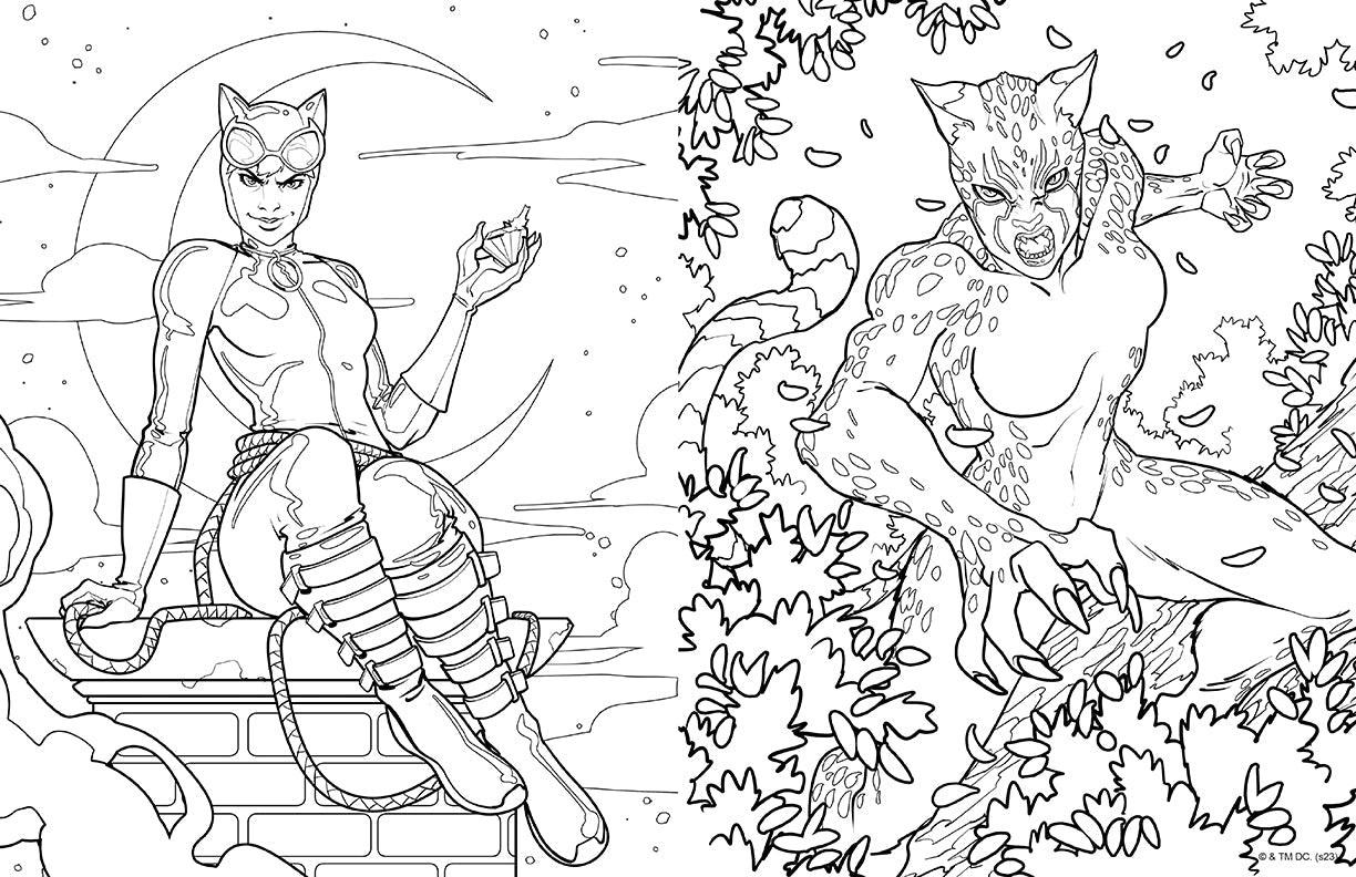 DC Super-Villains: The Official Coloring Book Softcover Book