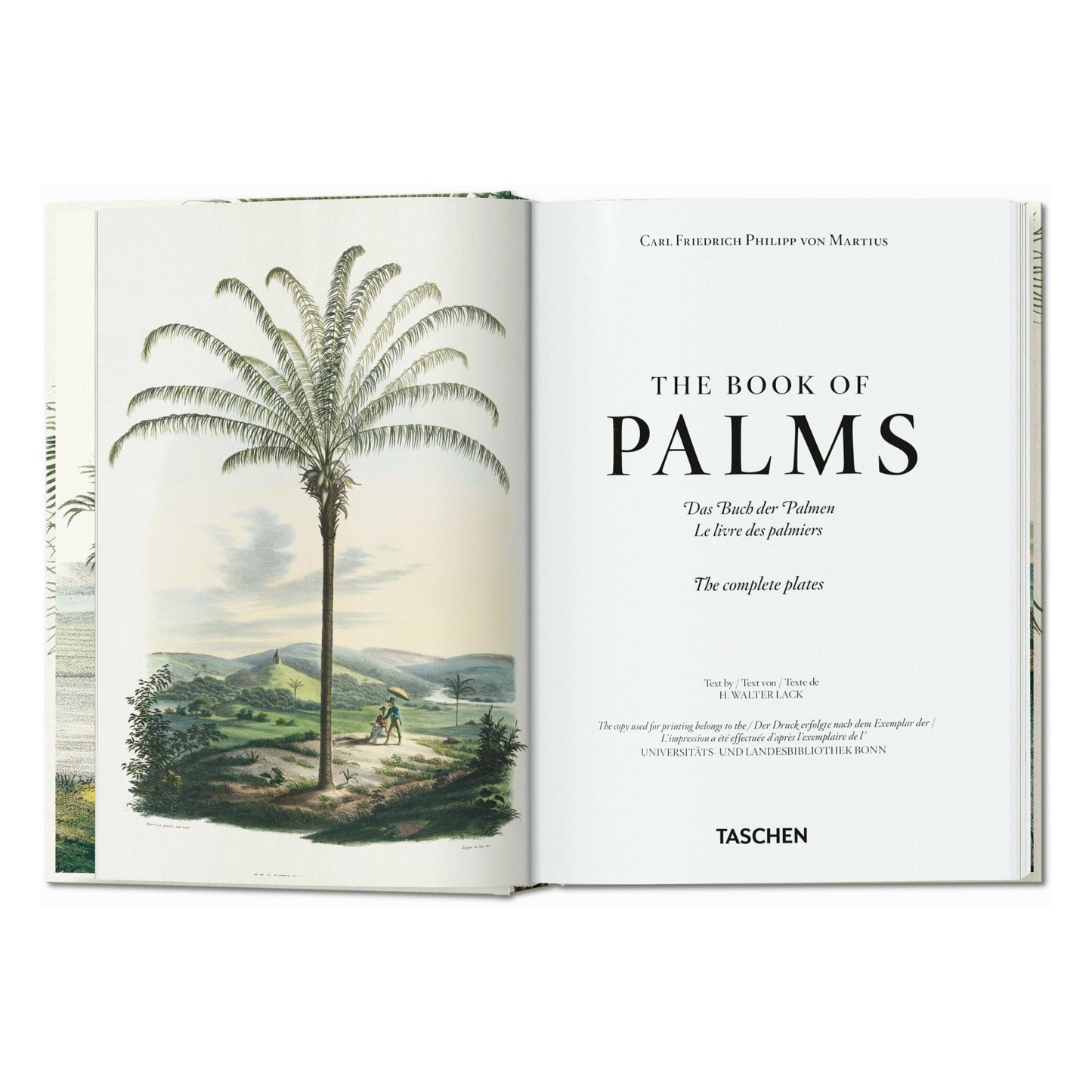 Martius. The Book of Palms. 45th Ed. (German, French, English) Book