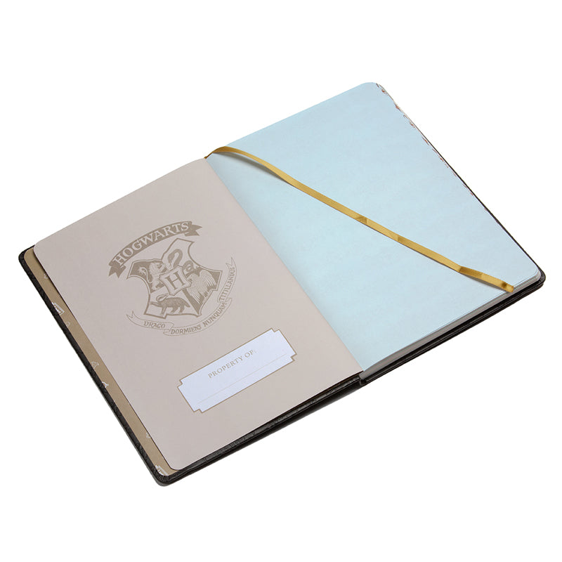 Harry Potter 2023-2024 Academic Year Planner Hardcover Book
