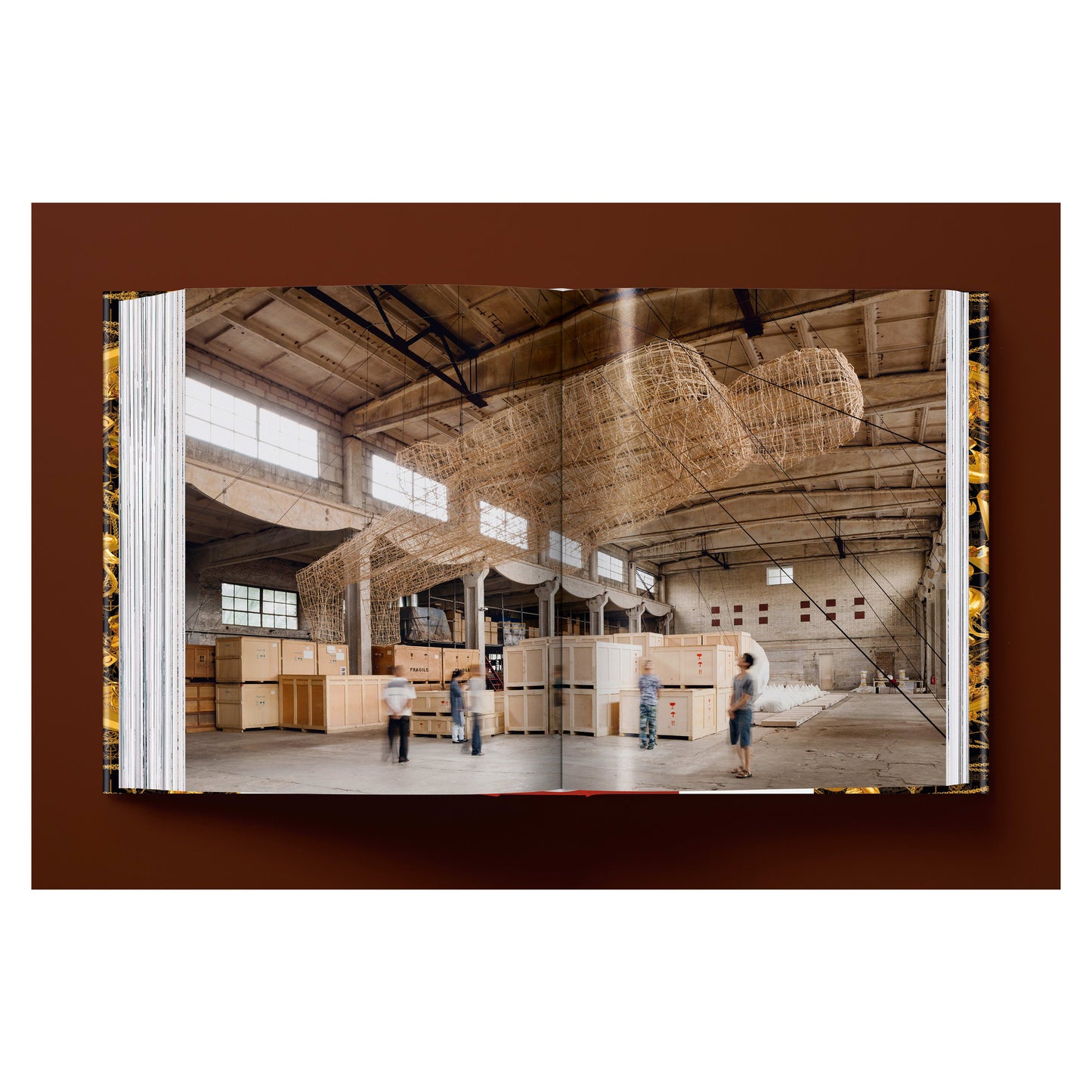 Ai Weiwei. Updated Edition (German, French, English) Book