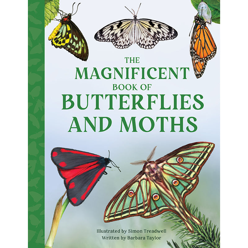 The Magnificent Book of Butterflies & Moths Hardcover Book