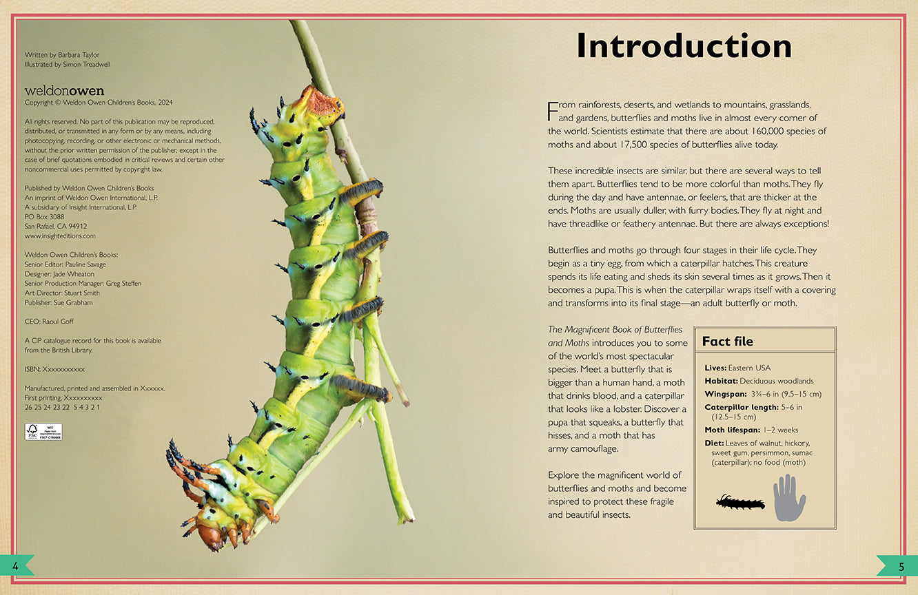 The Magnificent Book of Butterflies & Moths Hardcover Book