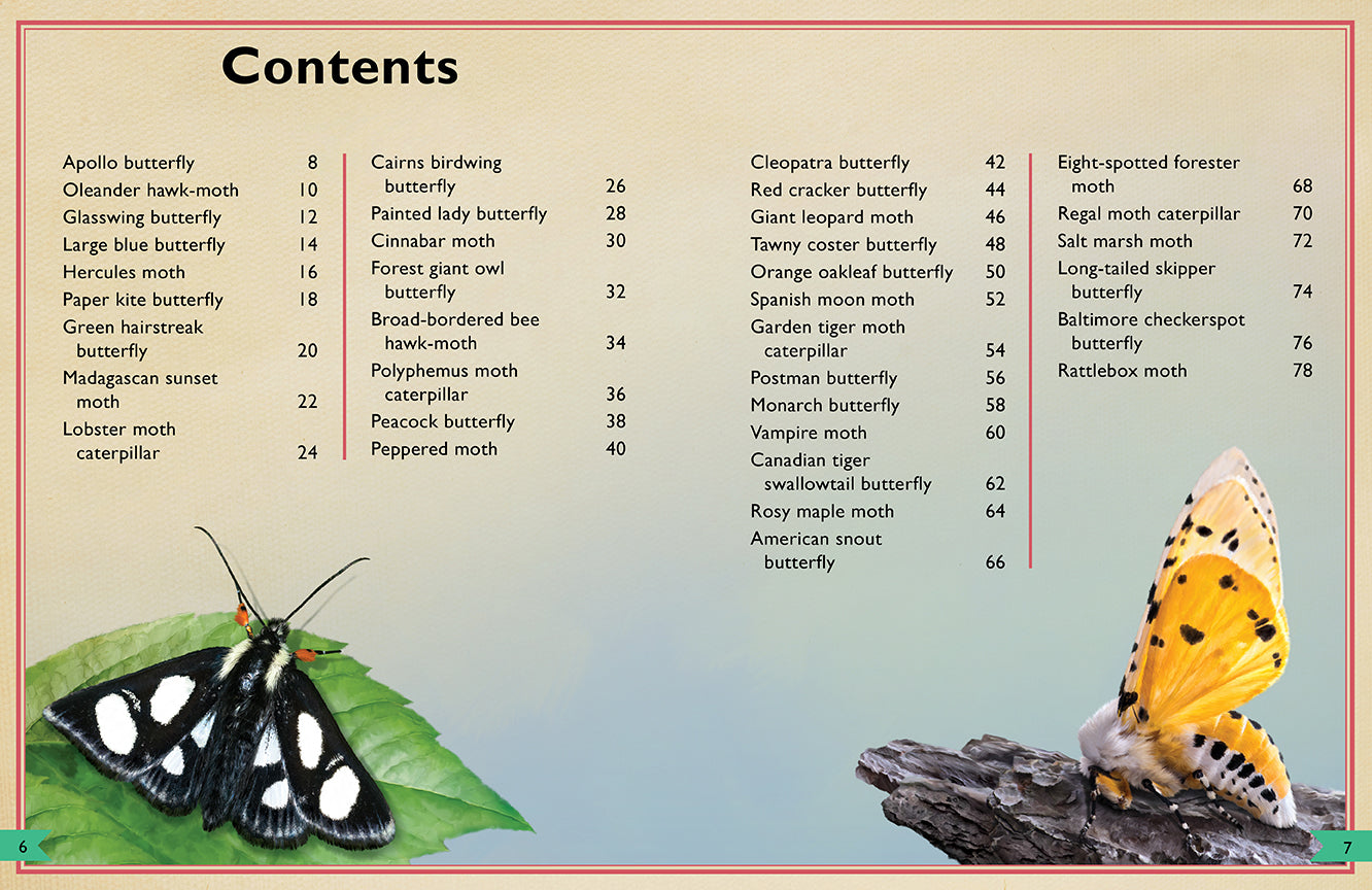 The Magnificent Book of Butterflies & Moths Hardcover Book
