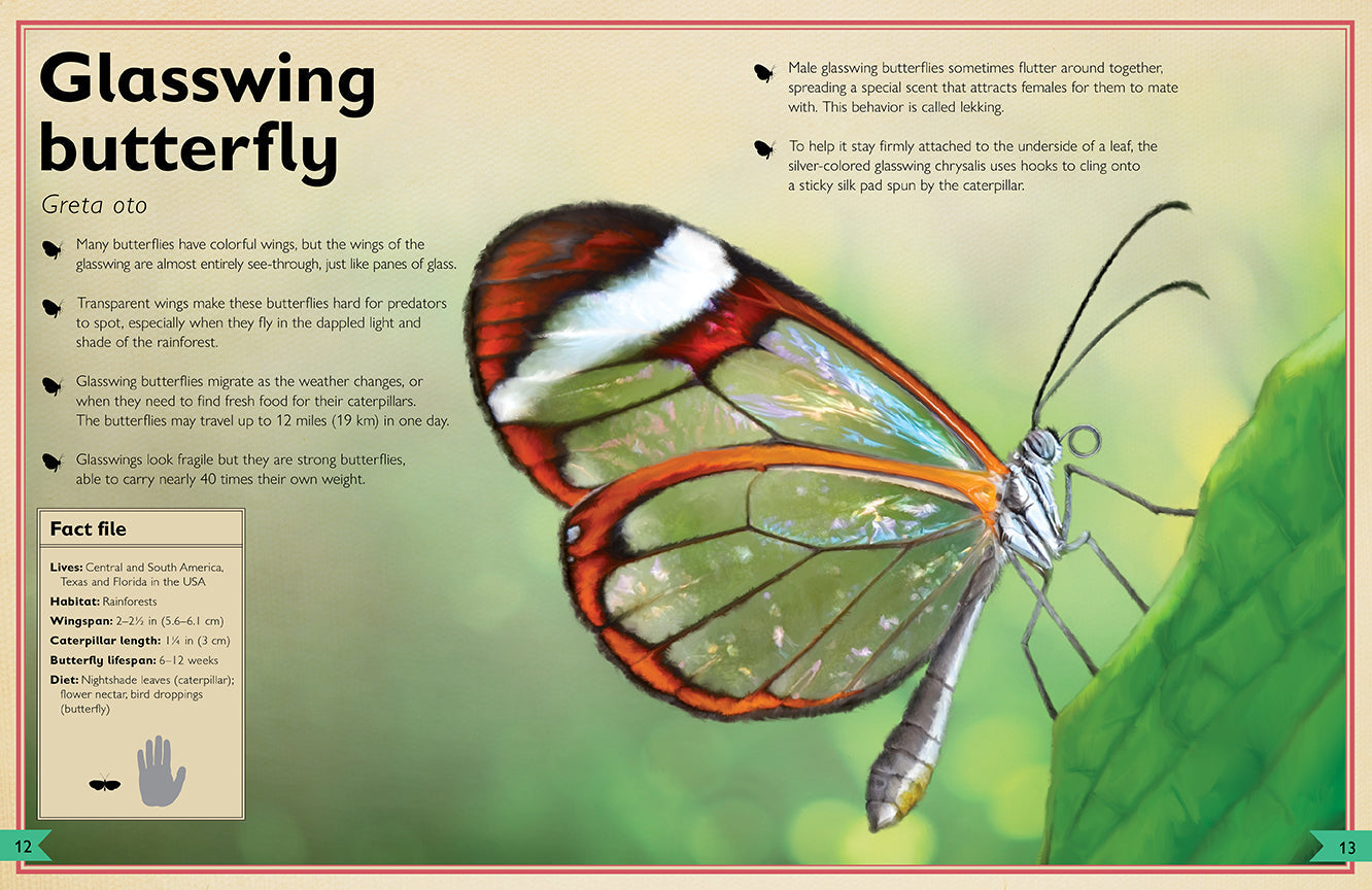 The Magnificent Book of Butterflies & Moths Hardcover Book