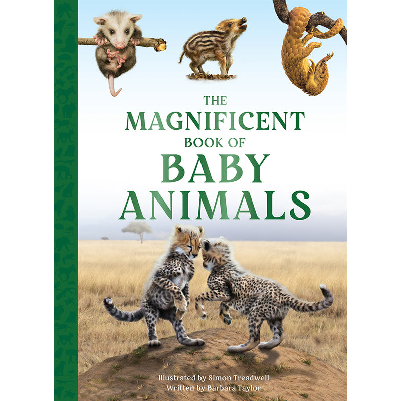 The Magnificent Book of Baby Animals Hardcover Book
