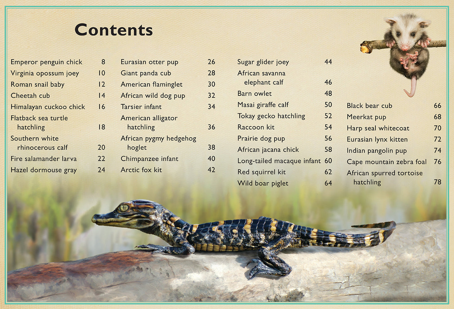 The Magnificent Book of Baby Animals Hardcover Book