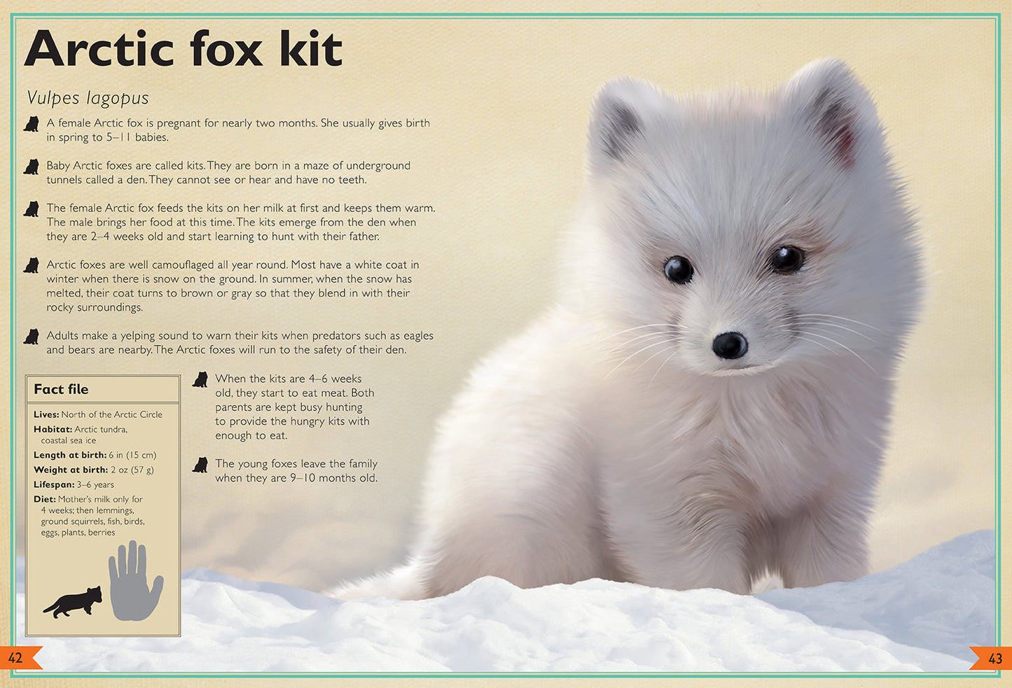 The Magnificent Book of Baby Animals Hardcover Book